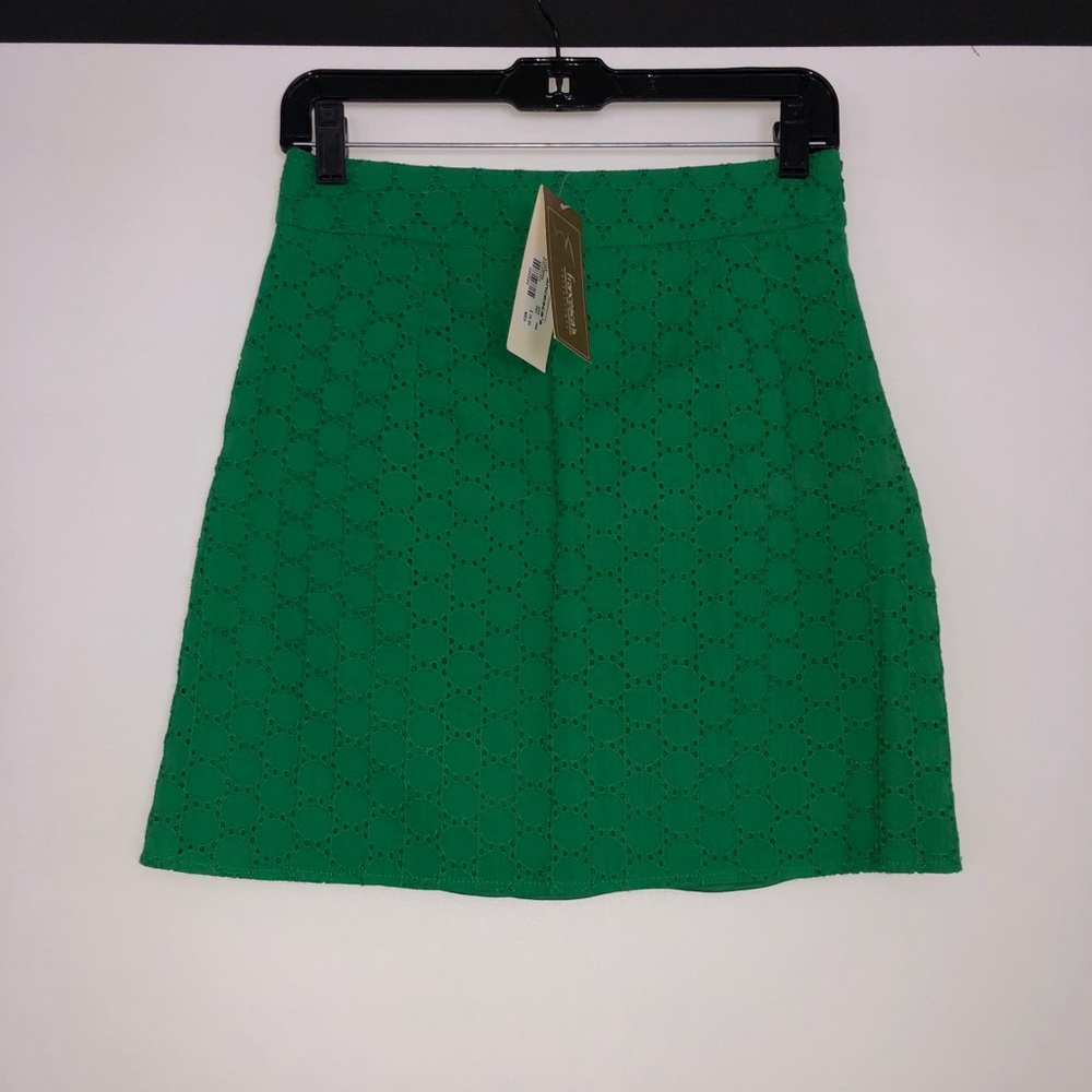 Francesca’s Collections Green Lace Skirt